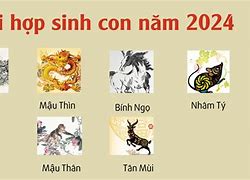 43 Tuổi Là Tuổi Con Gì