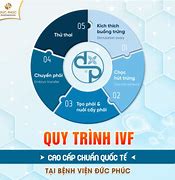 Chi Phí Ivf Bệnh Viện Nam Học