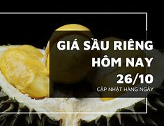 Giá Sầu Riêng Ri6 Loại 1 Hôm Nay