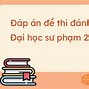 Thi Đánh Giá Năng Lực Ngành Sư Phạm Tiểu Học