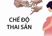 Tra Cứu Mã Hồ Sơ Thai Sản