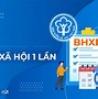 Tự Đóng Bảo Hiểm Xã Hội Có Được Hưởng Chế Độ Thai Sản Không